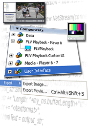 Macromedia Flash screenshots
