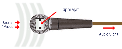 Microphone Diaphragm