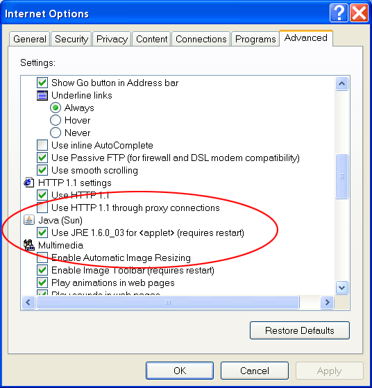 Enable Java in IE 6