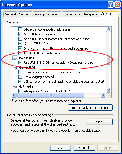 Enable Java In Ie 7